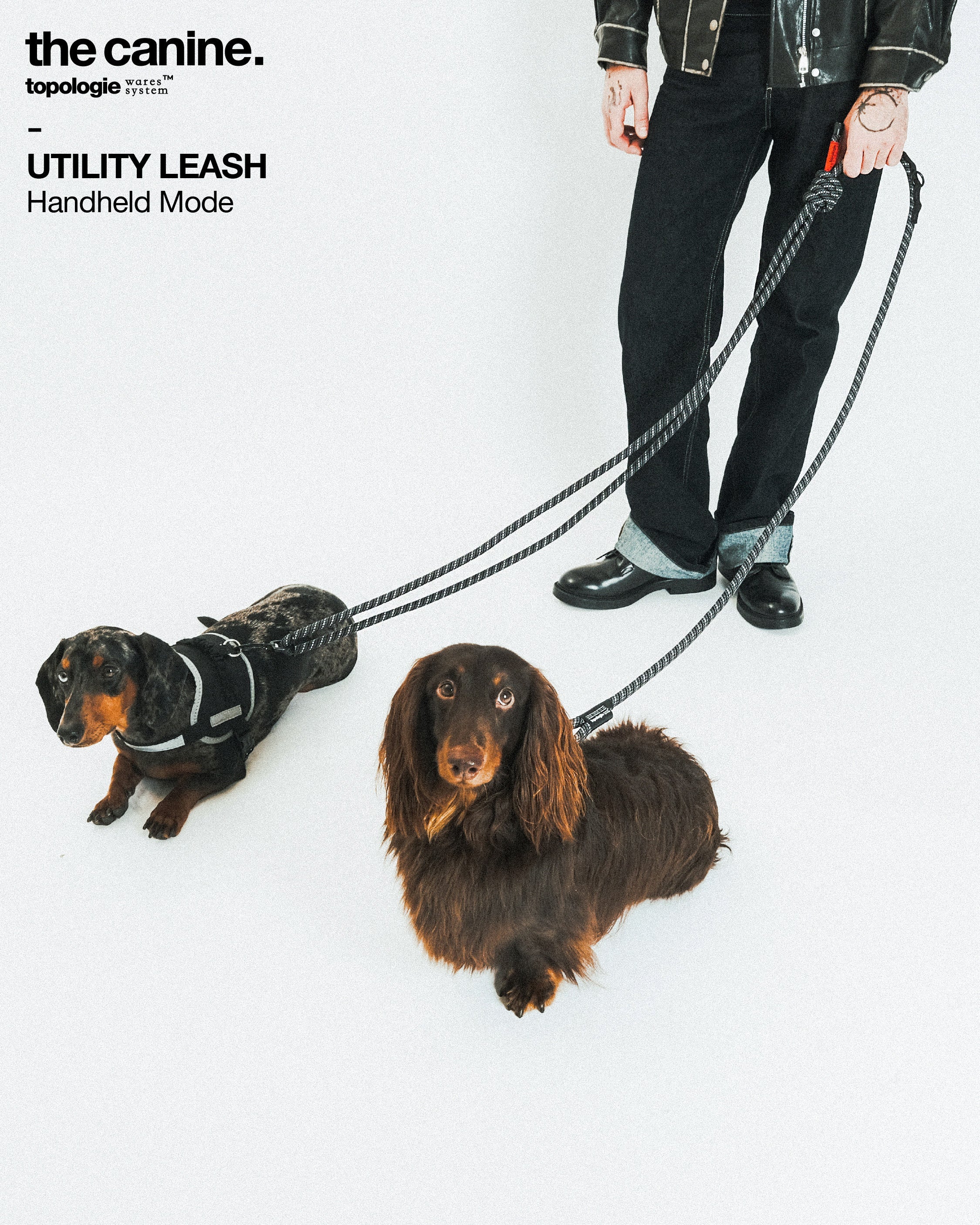 12mm Utility Leash - Image 10