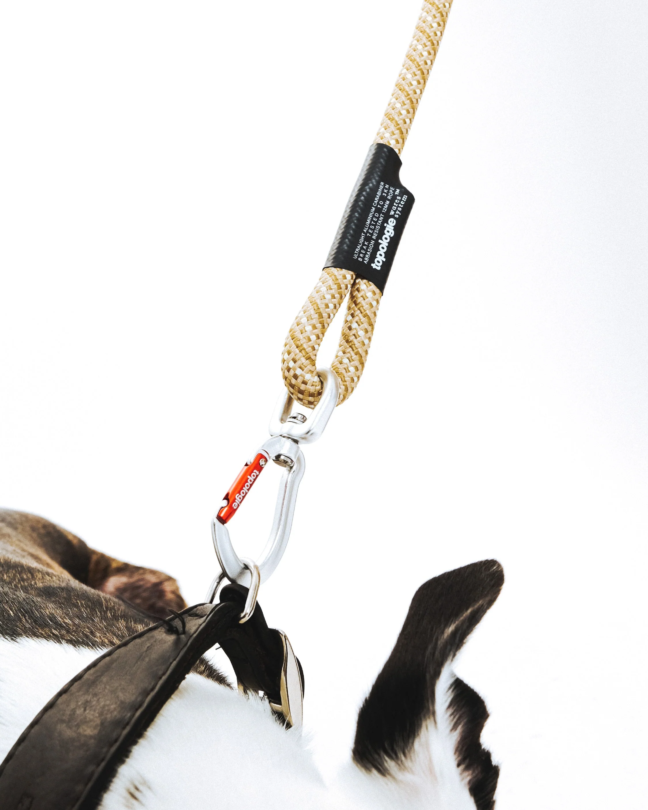 8.0mm Leash - Image 3